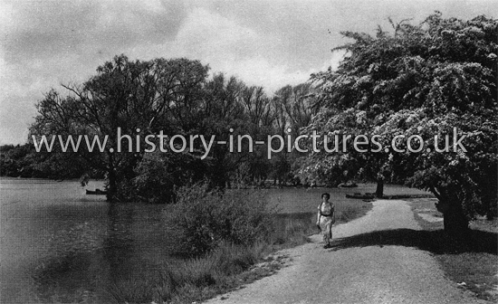 Connaught Waters, Chingford, Epping Forest, Essex. c.1930's